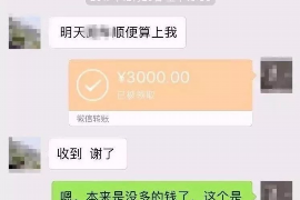 定西融资清欠服务